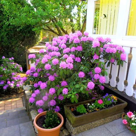 Sonnenblick 아파트 Kirschhofen