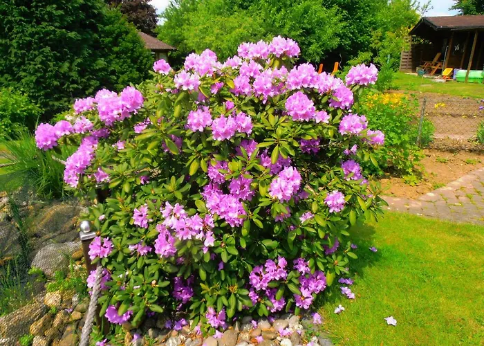 Apartamento Sonnenblick Kirschhofen