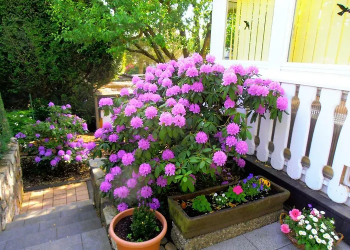 Sonnenblick Apartamento Kirschhofen